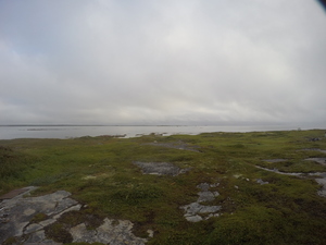 Photograph of Pinchard's Island, Newfoundland — August 16, 2017 at 8:00 AM