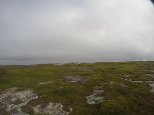 Photograph of Pinchard's Island, Newfoundland — August 16, 2017 at 9:01 AM