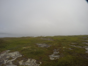Photograph of Pinchard's Island, Newfoundland — August 16, 2017 at 10:01 AM