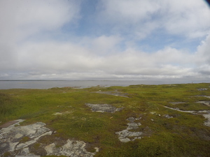 Photograph of Pinchard's Island, Newfoundland — August 16, 2017 at 11:01 AM
