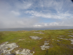Photograph of Pinchard's Island, Newfoundland — August 16, 2017 at 12:01 PM