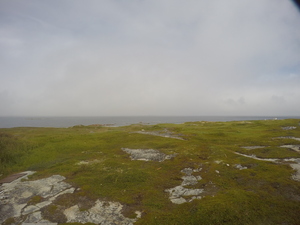 Photograph of Pinchard's Island, Newfoundland — August 16, 2017 at 1:00 PM