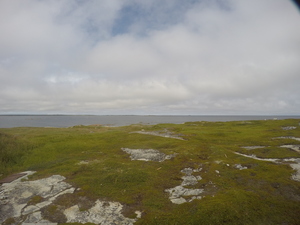 Photograph of Pinchard's Island, Newfoundland — August 16, 2017 at 2:01 PM