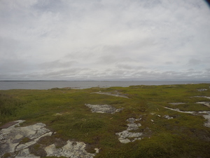 Photograph of Pinchard's Island, Newfoundland — August 16, 2017 at 3:01 PM
