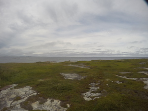 Photograph of Pinchard's Island, Newfoundland — August 16, 2017 at 4:01 PM