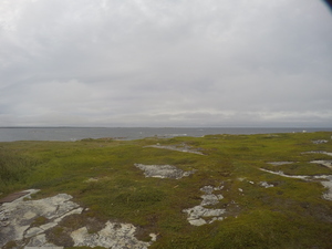Photograph of Pinchard's Island, Newfoundland — August 16, 2017 at 5:01 PM