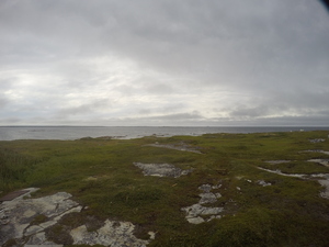 Photograph of Pinchard's Island, Newfoundland — August 16, 2017 at 6:01 PM