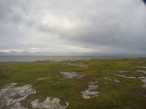 Photograph of Pinchard's Island, Newfoundland — August 16, 2017 at 7:01 PM