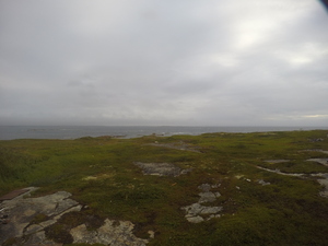Photograph of Pinchard's Island, Newfoundland — August 17, 2017 at 8:00 AM