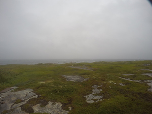 Photograph of Pinchard's Island, Newfoundland — August 17, 2017 at 9:01 AM