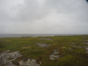 Photograph of Pinchard's Island, Newfoundland — August 17, 2017 at 10:01 AM