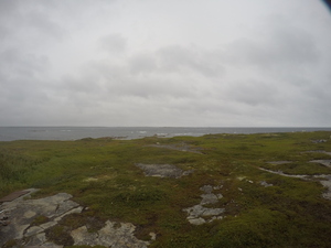 Photograph of Pinchard's Island, Newfoundland — August 17, 2017 at 11:01 AM