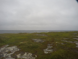 Photograph of Pinchard's Island, Newfoundland — August 17, 2017 at 12:01 PM