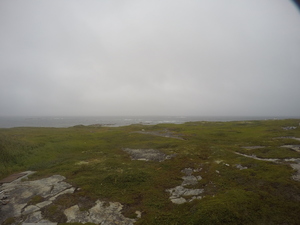 Photograph of Pinchard's Island, Newfoundland — August 17, 2017 at 1:01 PM