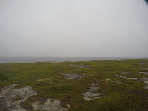 Photograph of Pinchard's Island, Newfoundland — August 17, 2017 at 2:01 PM