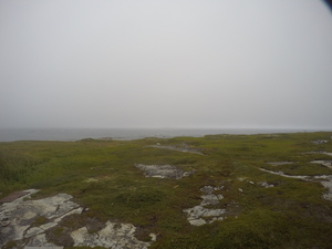 Photograph of Pinchard's Island, Newfoundland — August 17, 2017 at 4:00 PM