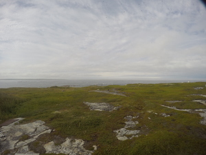 Photograph of Pinchard's Island, Newfoundland — August 17, 2017 at 5:00 PM