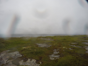 Photograph of Pinchard's Island, Newfoundland — August 18, 2017 at 8:01 AM