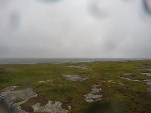 Photograph of Pinchard's Island, Newfoundland — August 18, 2017 at 9:01 AM