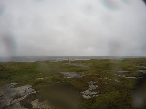 Photograph of Pinchard's Island, Newfoundland — August 18, 2017 at 10:01 AM