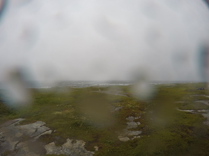 Photograph of Pinchard's Island, Newfoundland — August 18, 2017 at 11:01 AM
