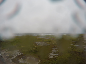 Photograph of Pinchard's Island, Newfoundland — August 18, 2017 at 12:00 PM