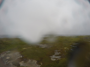 Photograph of Pinchard's Island, Newfoundland — August 18, 2017 at 1:00 PM