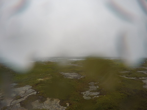 Photograph of Pinchard's Island, Newfoundland — August 18, 2017 at 2:00 PM