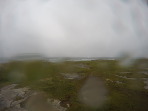 Photograph of Pinchard's Island, Newfoundland — August 18, 2017 at 4:00 PM