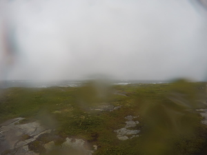 Photograph of Pinchard's Island, Newfoundland — August 18, 2017 at 5:00 PM