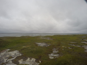 Photograph of Pinchard's Island, Newfoundland — August 19, 2017 at 8:00 AM