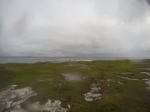 Photograph of Pinchard's Island, Newfoundland — August 19, 2017 at 9:00 AM