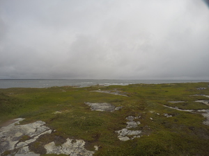 Photograph of Pinchard's Island, Newfoundland — August 19, 2017 at 10:00 AM