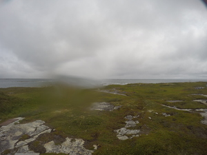 Photograph of Pinchard's Island, Newfoundland — August 19, 2017 at 11:00 AM