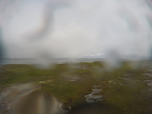 Photograph of Pinchard's Island, Newfoundland — August 19, 2017 at 12:00 PM