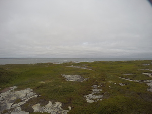 Photograph of Pinchard's Island, Newfoundland — August 19, 2017 at 2:00 PM