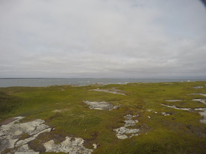 Photograph of Pinchard's Island, Newfoundland — August 19, 2017 at 3:00 PM