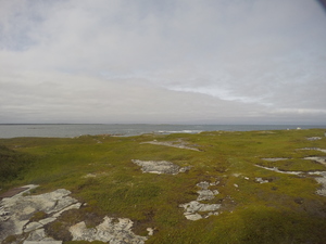 Photograph of Pinchard's Island, Newfoundland — August 19, 2017 at 4:00 PM