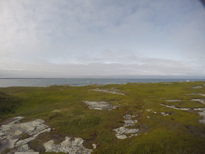 Photograph of Pinchard's Island, Newfoundland — August 19, 2017 at 5:00 PM