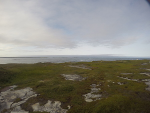 Photograph of Pinchard's Island, Newfoundland — August 19, 2017 at 6:00 PM