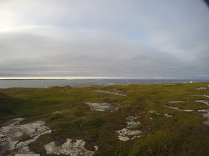 Photograph of Pinchard's Island, Newfoundland — August 19, 2017 at 7:00 PM
