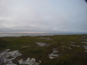 Photograph of Pinchard's Island, Newfoundland — August 19, 2017 at 8:00 PM