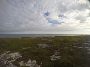 Photograph of Pinchard's Island, Newfoundland — August 20, 2017 at 8:00 AM