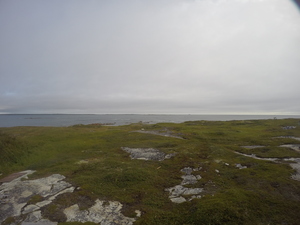 Photograph of Pinchard's Island, Newfoundland — August 20, 2017 at 9:00 AM