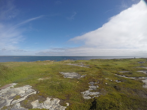 Photograph of Pinchard's Island, Newfoundland — August 20, 2017 at 10:00 AM