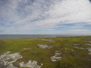 Photograph of Pinchard's Island, Newfoundland — August 20, 2017 at 11:00 AM