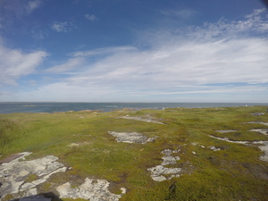 Photograph of Pinchard's Island, Newfoundland — August 20, 2017 at 12:00 PM