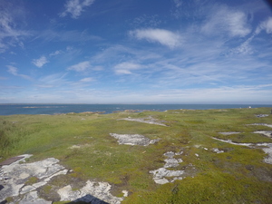 Photograph of Pinchard's Island, Newfoundland — August 20, 2017 at 1:00 PM