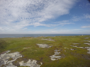 Photograph of Pinchard's Island, Newfoundland — August 20, 2017 at 2:00 PM