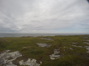 Photograph of Pinchard's Island, Newfoundland — August 20, 2017 at 3:00 PM